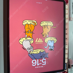 아이패드 프로 12.9 6세대 m2 128 wifi