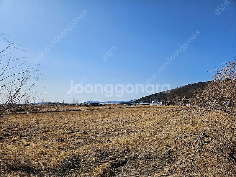 올뉴쏘렌토 일체헝루프박스 삽니다--0