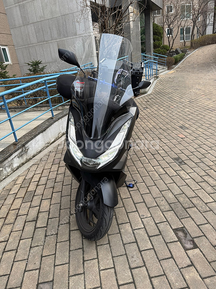 24년식 PCX 민트급 3667km--0