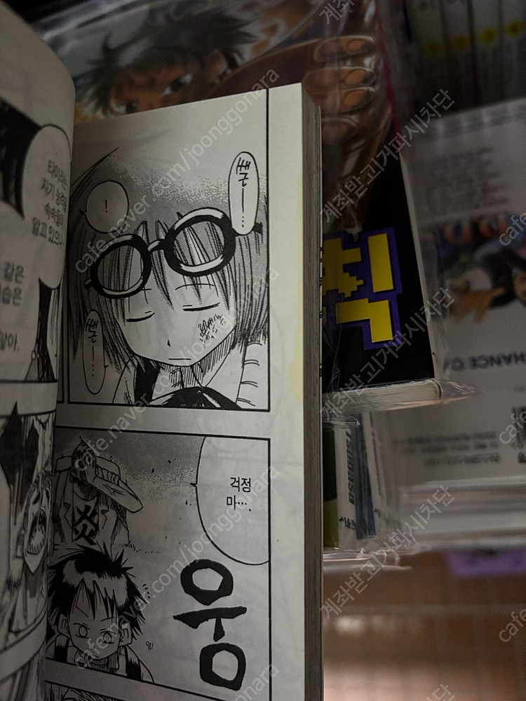 소장용)우에키의 법칙 1-16 플러스 1-5 배틀짱--1