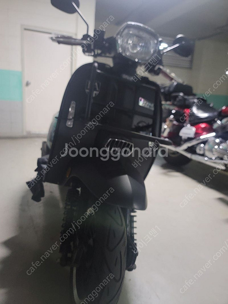 알로이125 입양보내요--4