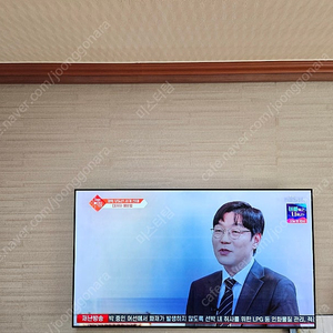 lg oled 65인치