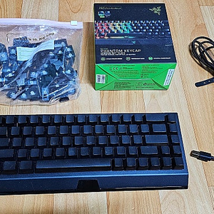 Razer BlackWidow V3 Mini Hyperspeed , Razer Phantom Keycap 판매합니다