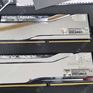 G.SKILL DDR5-6400 CL32 TRIDENT Z5 ROYAL 실버 패키지 (64GB(32Gx2))