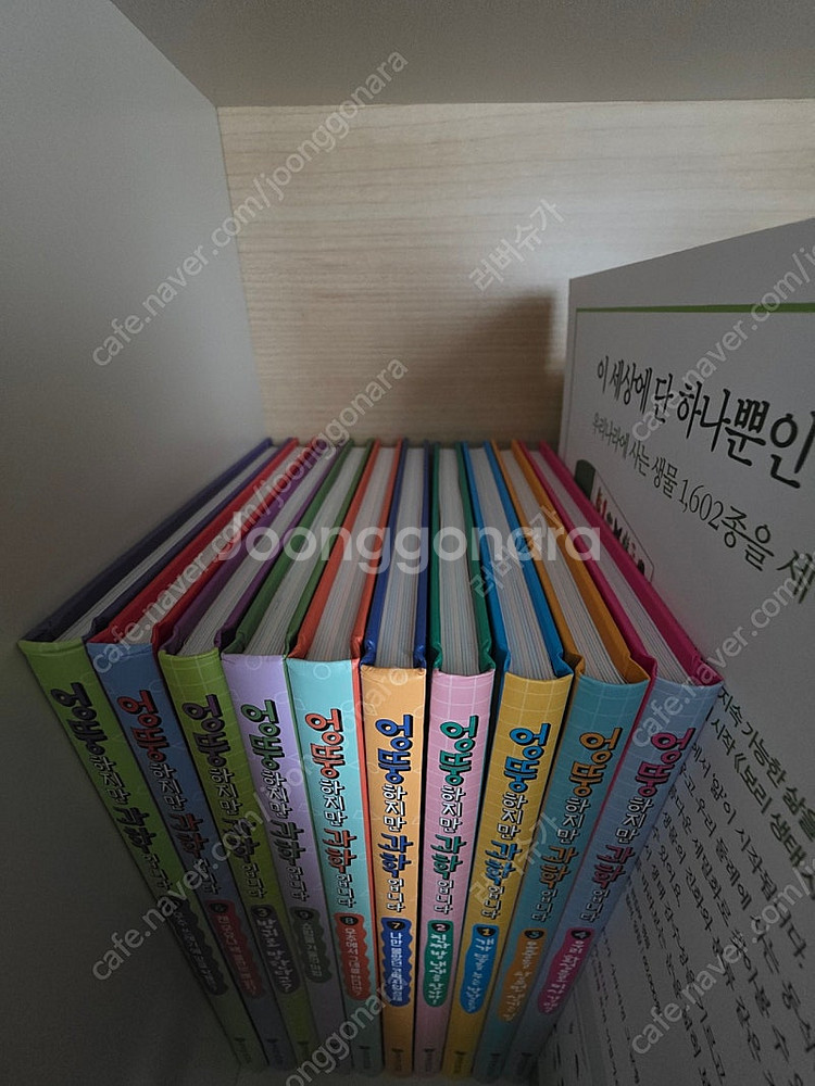 엉뚱하지만 과학입니다10권 황당하지만 수학입니다 7권--1