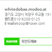 waydoo 전동포일보드 판매