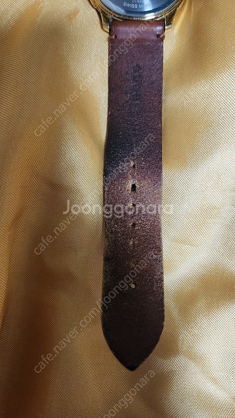 구찌GUCCI YA1264012 스네이크 골드38mm ...--7
