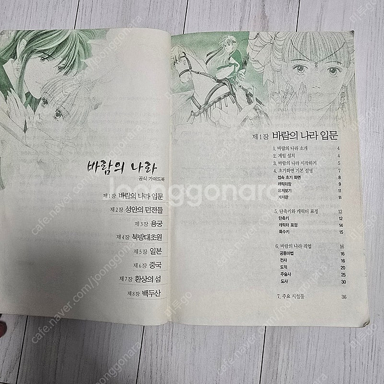 바람의나라 가이드북 6.30(표범)--1