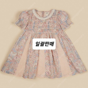 아폴리나 봉주르 일괄