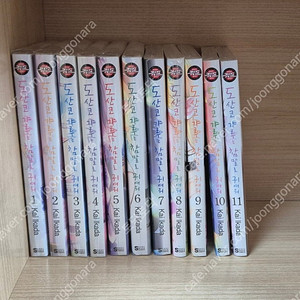 도산코 갸루는 참말로 귀여워 1-11 초판 소장용팝니다