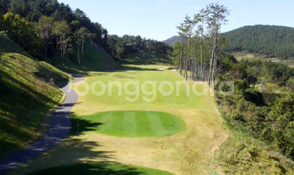 해운대비치CC 회원권 이그제큐티브 50구좌 선착순분양--5