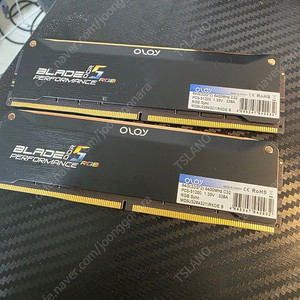 ​OLOy DDR5 RAM 64GB (2x32GB) 블랙 헤어라인 블레이드 RGB 6400 MHz CL32