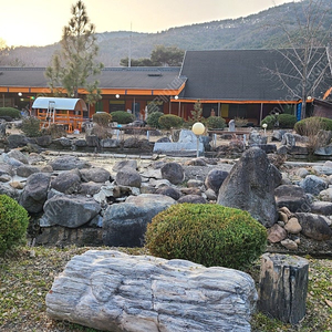 자연석,화석돌 판매합니다.