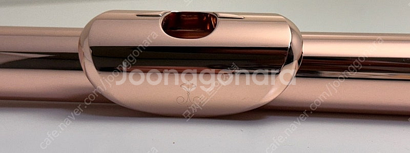 브란넨쿠퍼 14k gold combi sr 실버톤홀 플...--2