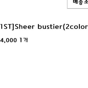 리즈 leeds Sheer bustier