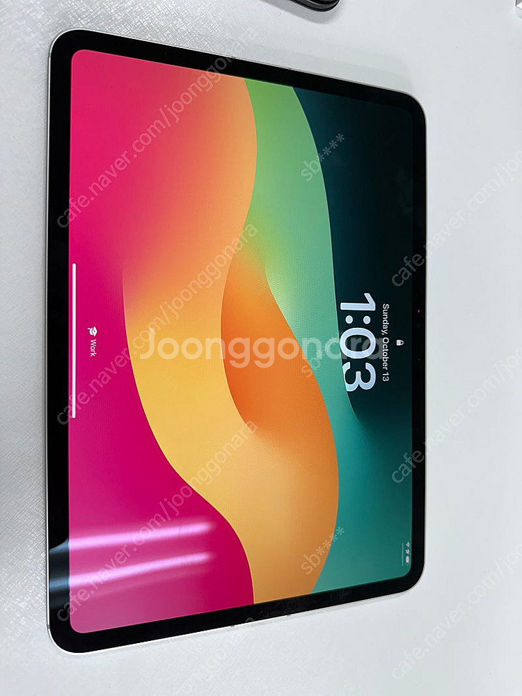 iPad Pro 11 M4 256GB 셀룰러 + 매직키...--1