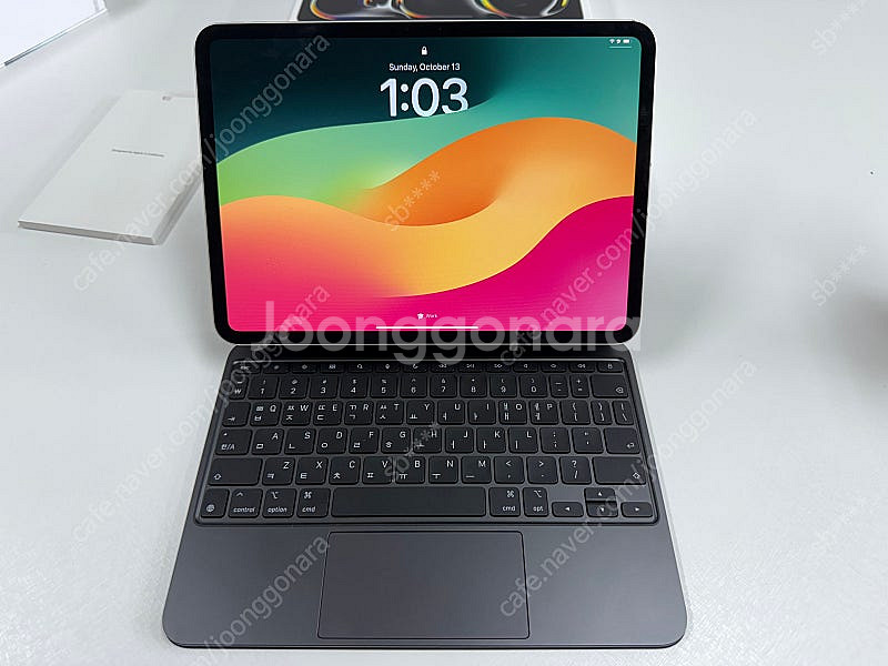 iPad Pro 11 M4 256GB 셀룰러 + 매직키...--3