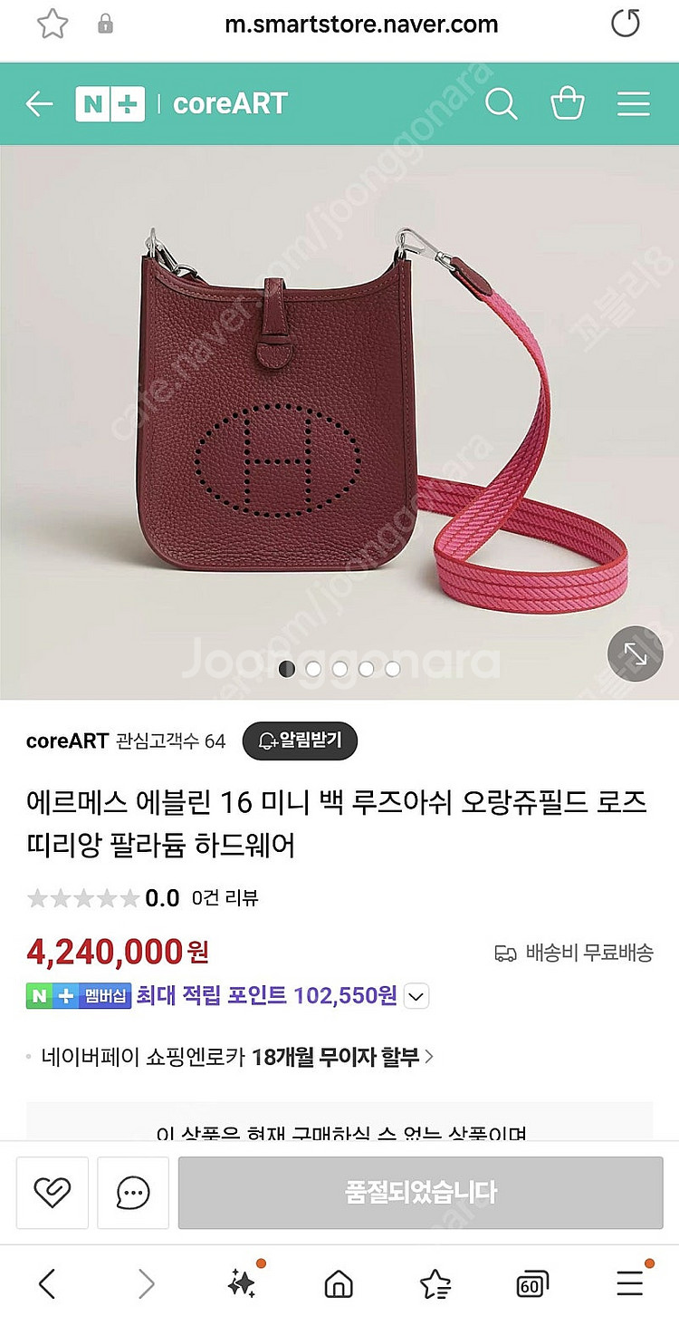 미니 에블린 루즈아쉬--0
