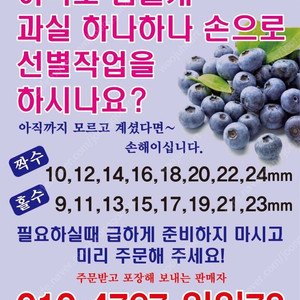 블루베리 수동선별기 판매
