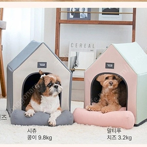 강아지 초코펫 하우스 일반형 베이직 (미개봉)