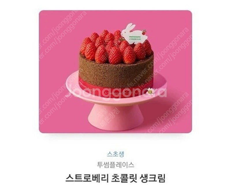 투썸플레이스 스트로베리 초콜릿 생크림--0