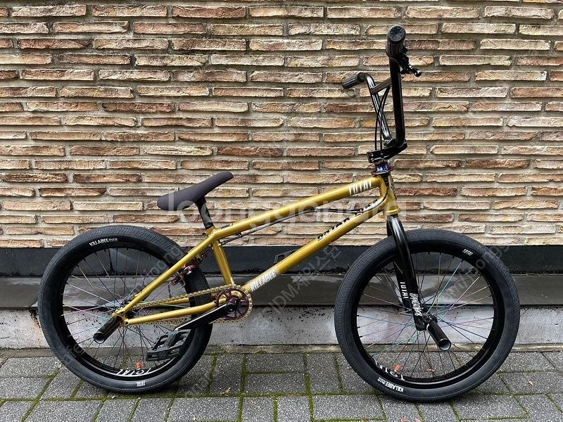 BMX 커스텀 자전거--1