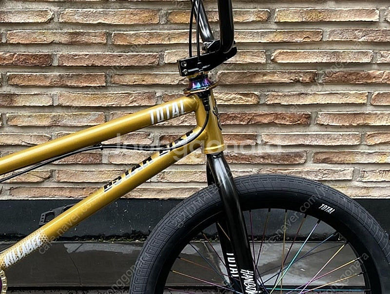 BMX 커스텀 자전거--2