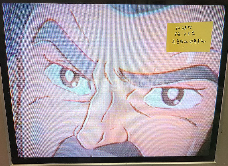 흑룡왕과 비호동자 만화영화 비디오 판매--3