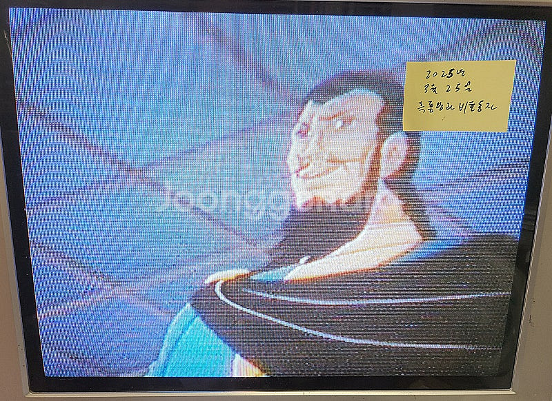 흑룡왕과 비호동자 만화영화 비디오 판매--6