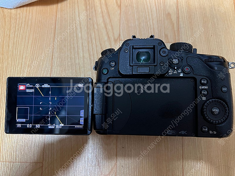 파나소닉 gh4--1