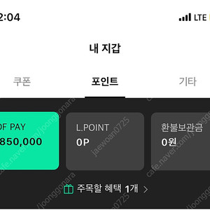 ldf pay 양도합니다.