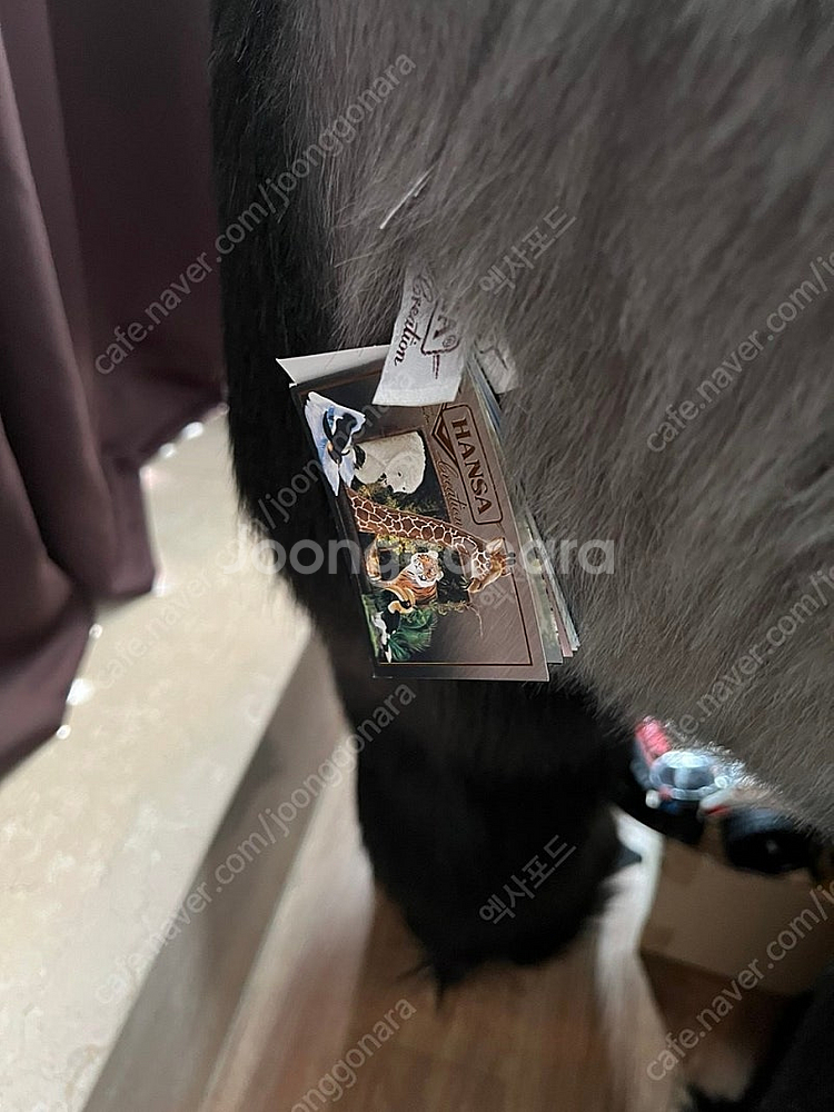 한사토이 대형 고릴라 인형 판매합니다.--0
