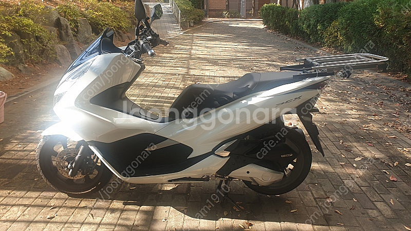 PCX 125 흰색 팝니다 (2020년식)--0