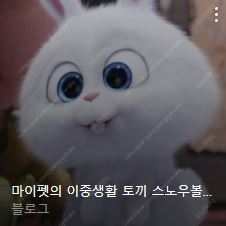 다이소 5000원 3.29일까지 장당 4600