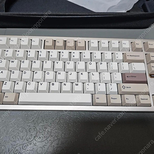 evo80 샌드골드 fr4 아주르