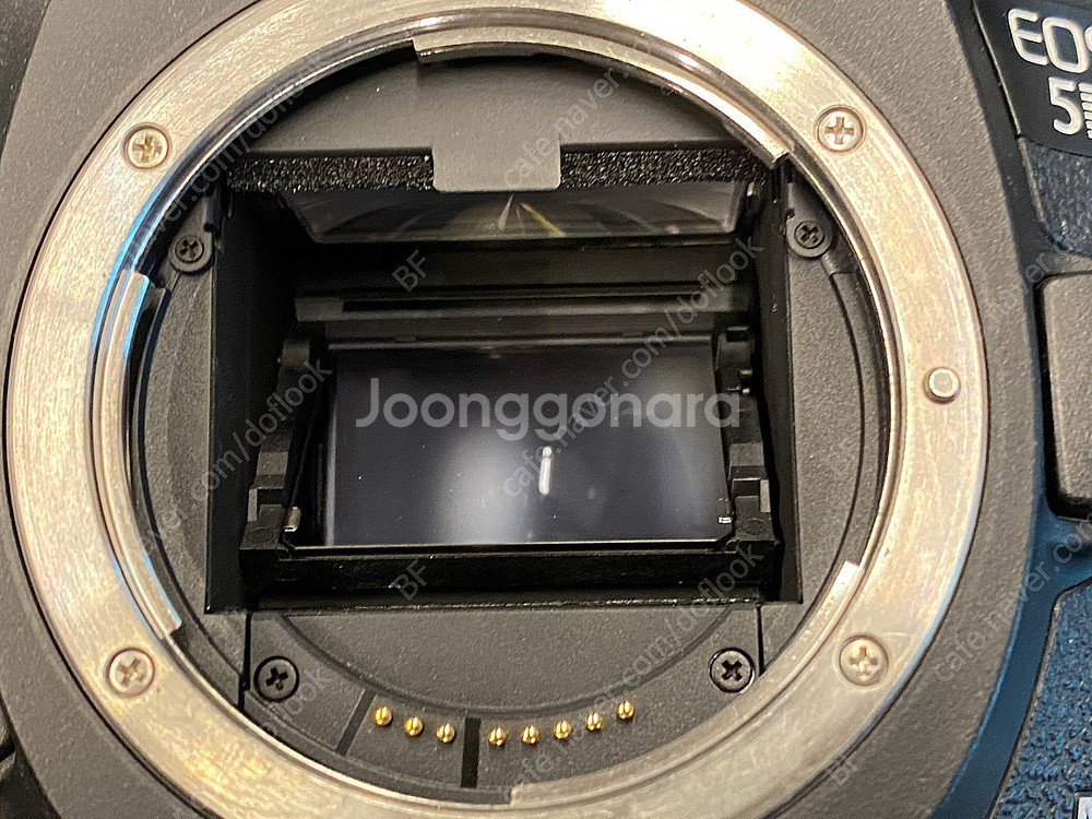 캐논 5D Mark3, 캐논 70D, 캐논 7D, 캐논...--3