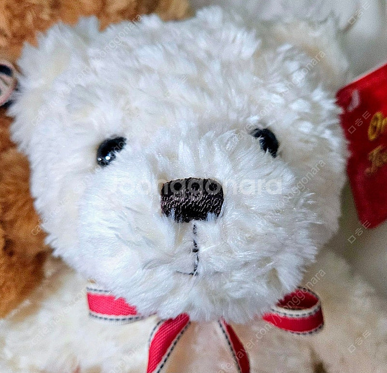 오로라월드 곰인형 테디베어 / 양면 문어인형--7