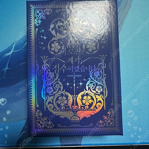 이 로판은 제가 접수하겠습니다