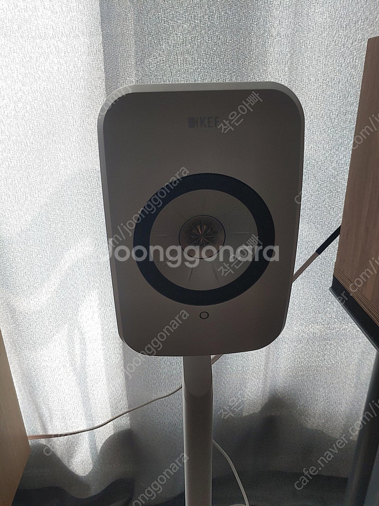 Kef LSX2 & s1 floor stand--1