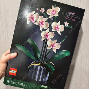 레고 10311 난초 새상품