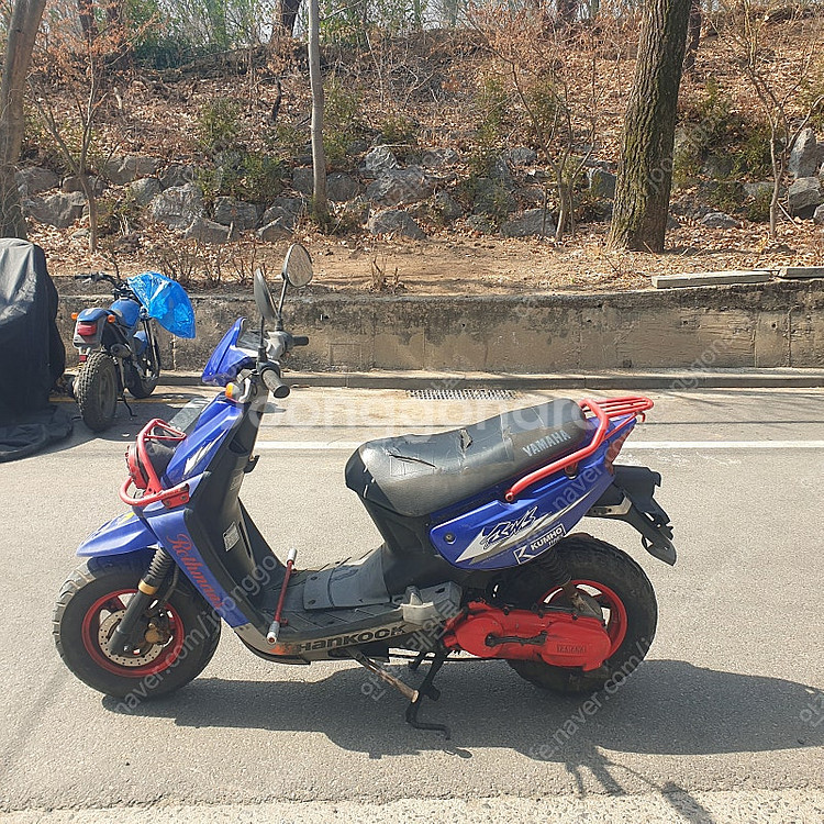 비위즈100--0