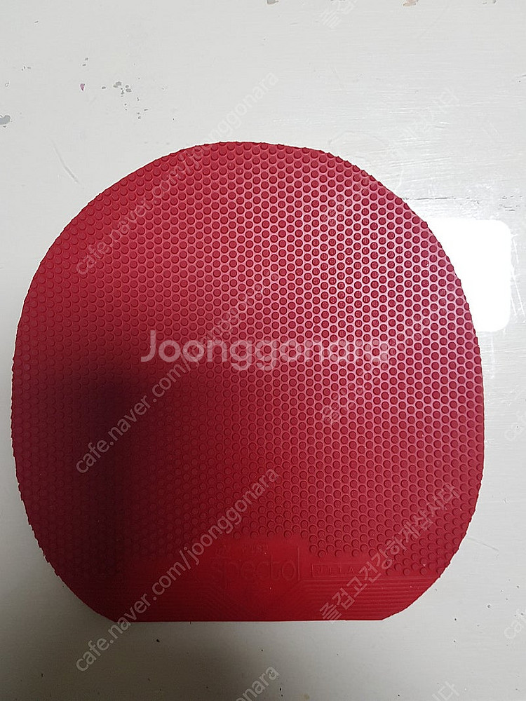 스펙톨 숏핌플--0