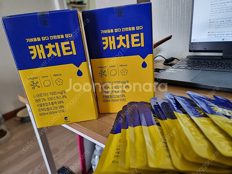 붓기차 캐치티--0
