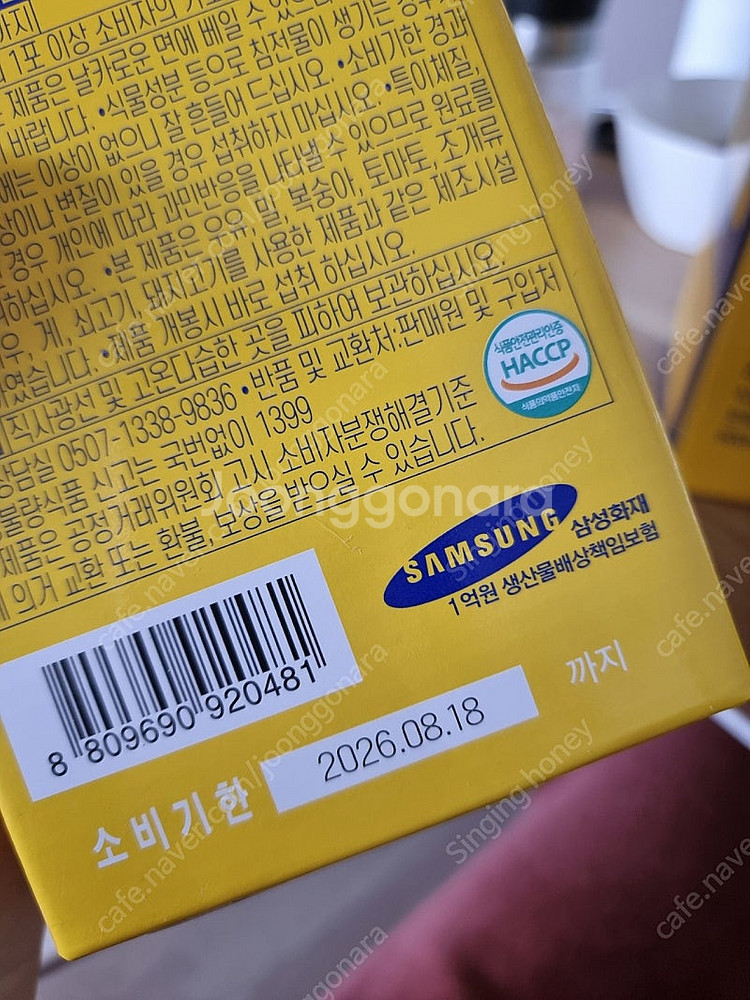 붓기차 캐치티--1