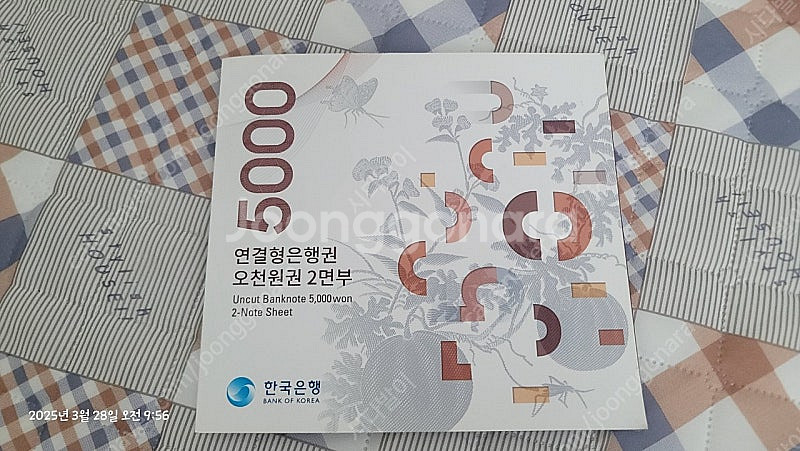 오천원 2면부 외 옛날돈--0