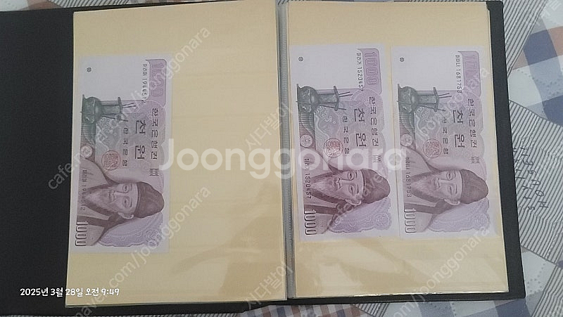 오천원 2면부 외 옛날돈--3