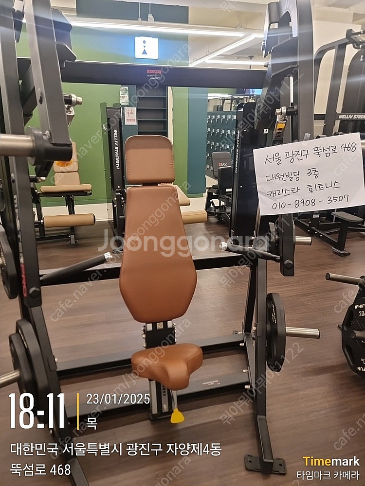 렉스코 체스트프레스--0