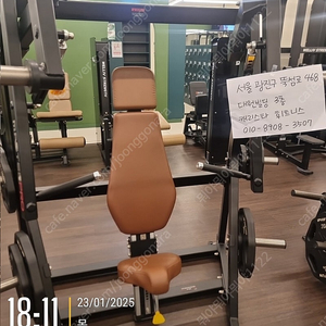 렉스코 체스트프레스