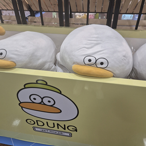 2026 강기분 독서 직거래 구매