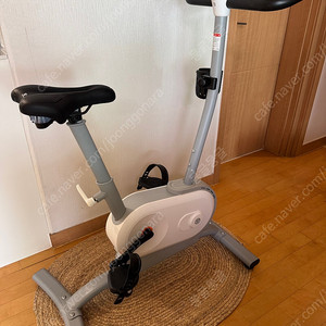 넥짐 MG03 스마트 실내 자전거